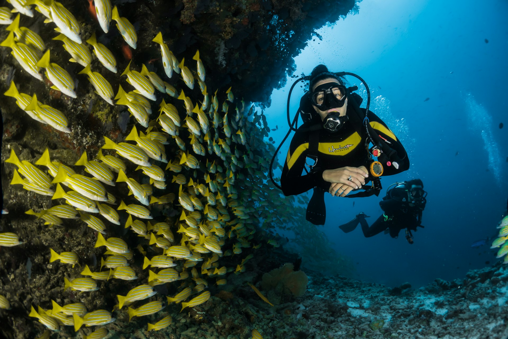 Scuba diver swimming alongside tropical fish underwater